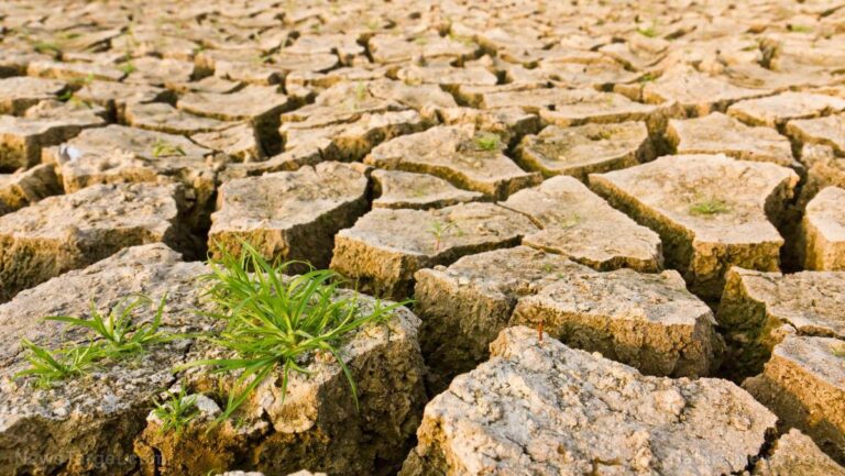 96% des stations de mesure de la chaleur de la NOAA sont placées de manière corrompue pour soutenir le récit du réchauffement climatique