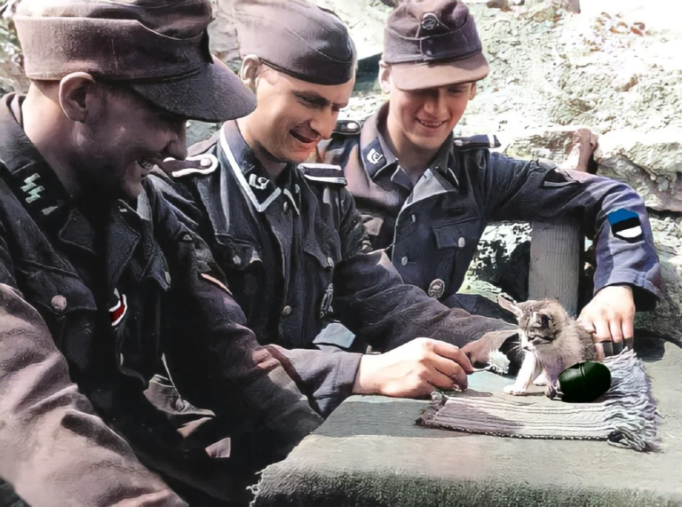 Des agitateurs pro-russes en Estonie ont célébré le «jour de la victoire» en saccageant un cimetière dédié aux vétérans SS et aux anticommunistes estoniens