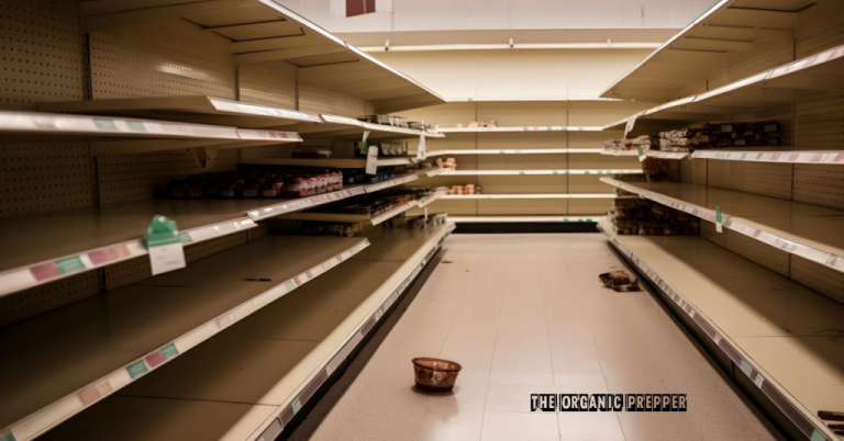 Le gouvernement néo-bolchévique du Canada sur le point de prendre le contrôle de l’alimentation avec un  »Plan pour la stabilisation des prix des produits alimentaires ! »