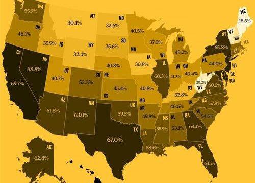 Visualiser la «diversité» raciale dite encore  »Grand Remplacement » ou  »Génocide des Blancs » dans tous les États américains